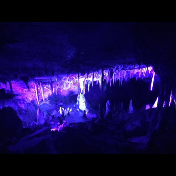 Meet your Posher, Juana - Picture 1 of 1